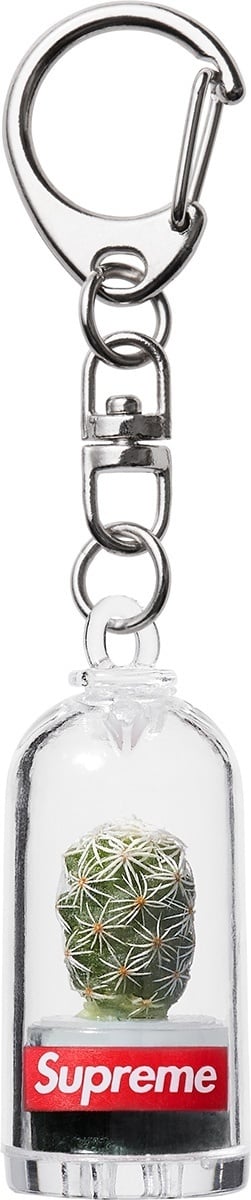 Cactus Keychain